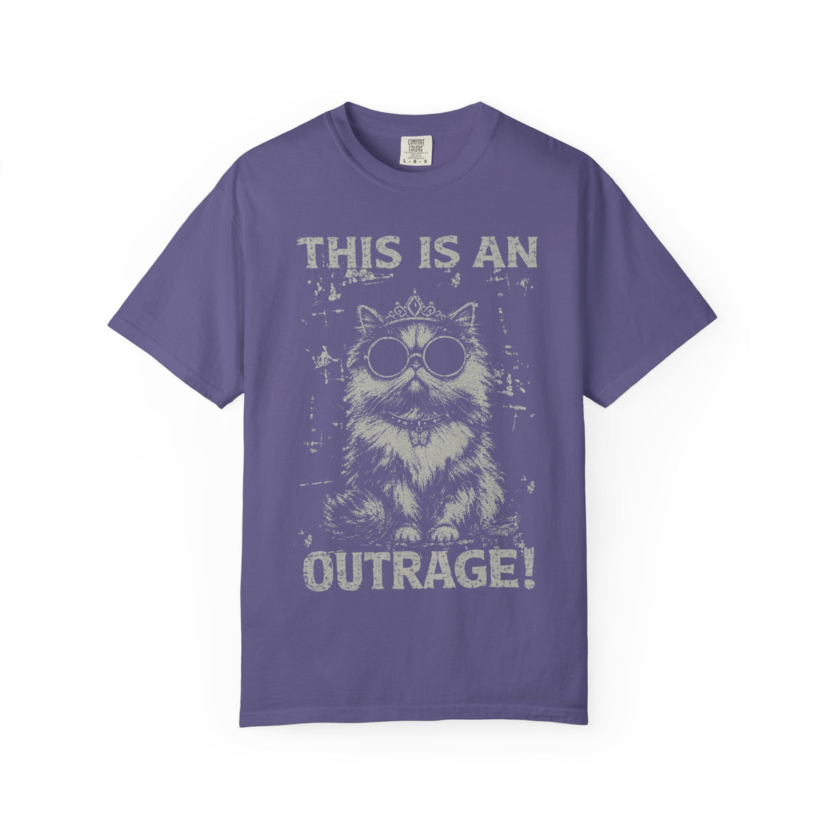 Comfort Colors Vintage This is an OUTRAGE Shirt, Dungeon Crawler Carl T-Shirt, Funny LitRPG Tee, Princess Donut Shirt, Book Lover Gift